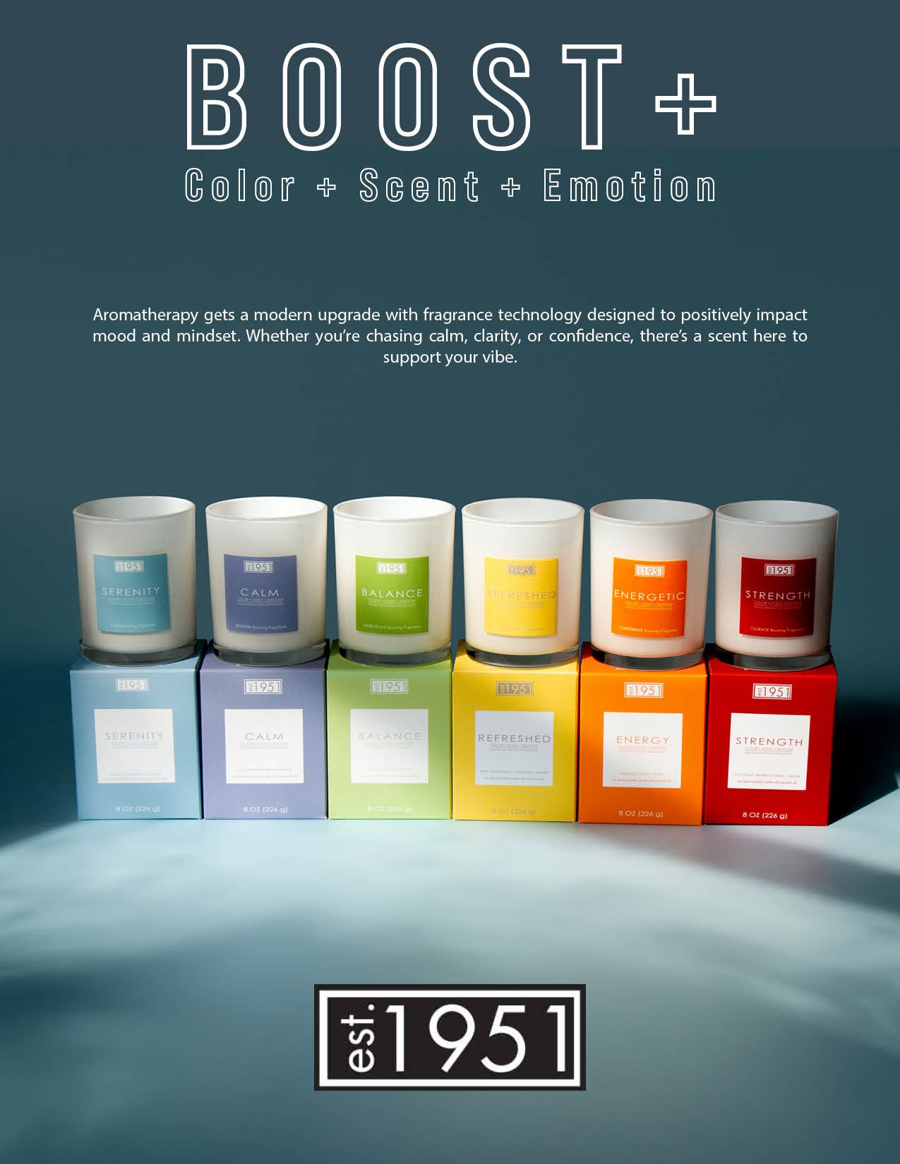 est.1951_-_Boost_Collection_-_Hero_Shelf_Talker.jpg